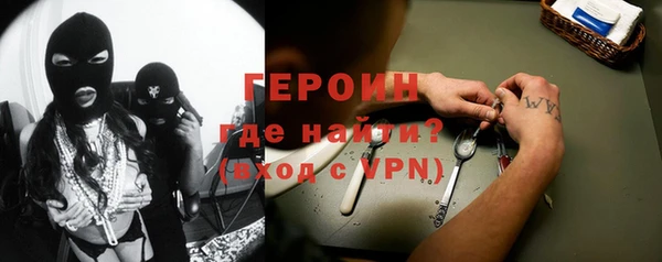 гашик Алексин