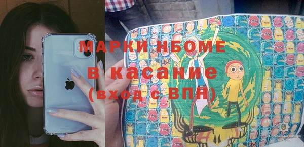 гашик Алексин