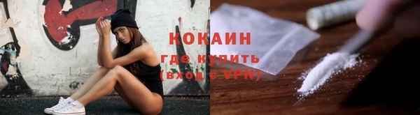 гашик Алексин