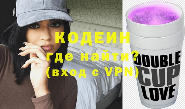 гашик Алексин